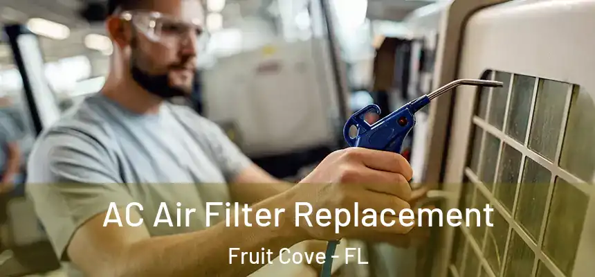  AC Air Filter Replacement Fruit Cove - FL