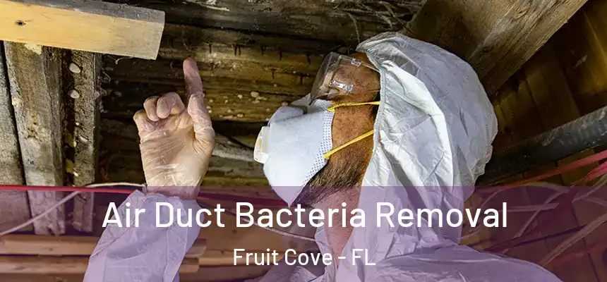  Air Duct Bacteria Removal Fruit Cove - FL