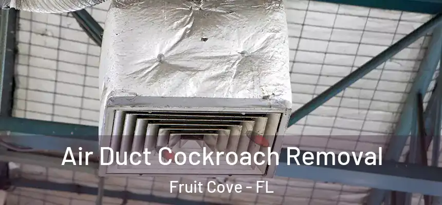  Air Duct Cockroach Removal Fruit Cove - FL