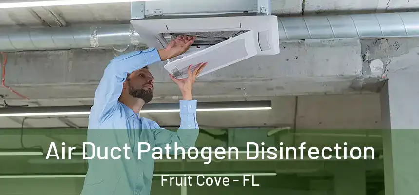  Air Duct Pathogen Disinfection Fruit Cove - FL