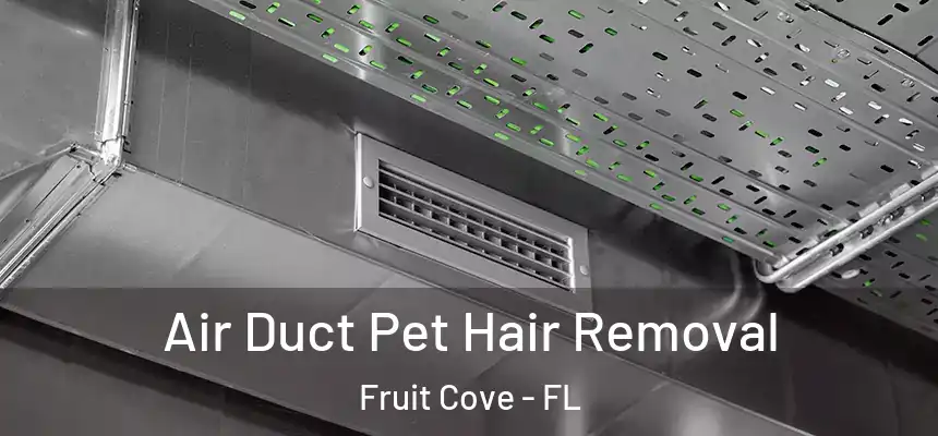  Air Duct Pet Hair Removal Fruit Cove - FL