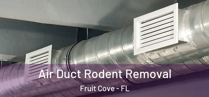  Air Duct Rodent Removal Fruit Cove - FL