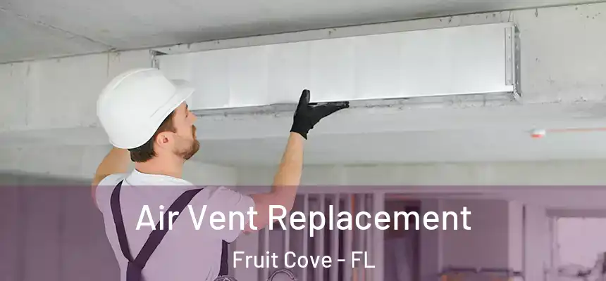 Air Vent Replacement Fruit Cove - FL