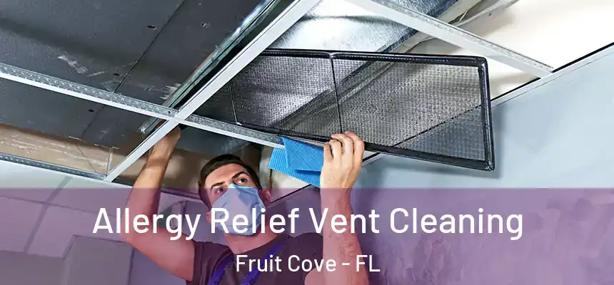  Allergy Relief Vent Cleaning Fruit Cove - FL