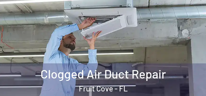  Clogged Air Duct Repair Fruit Cove - FL