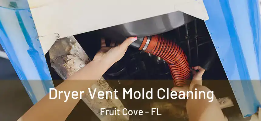 Dryer Vent Mold Cleaning Fruit Cove - FL