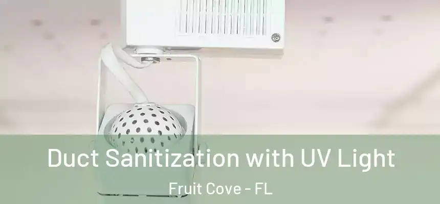  Duct Sanitization with UV Light Fruit Cove - FL