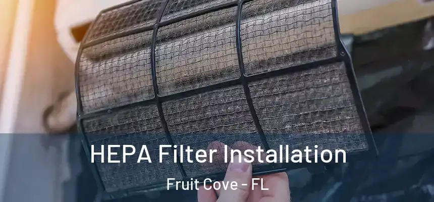  HEPA Filter Installation Fruit Cove - FL