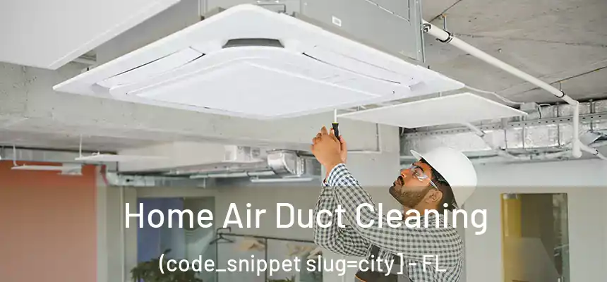  Home Air Duct Cleaning (code_snippet slug=city] - FL