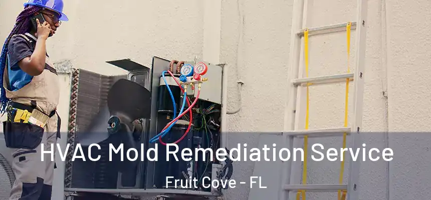 HVAC Mold Remediation Service Fruit Cove - FL