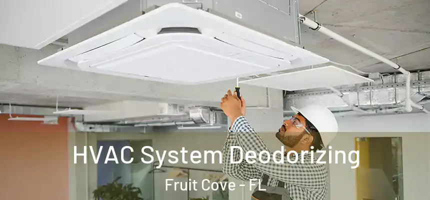  HVAC System Deodorizing Fruit Cove - FL