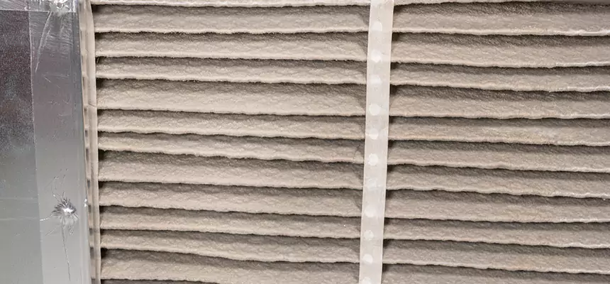 Mobile Car AC Filter Replacement in Fruit Cove