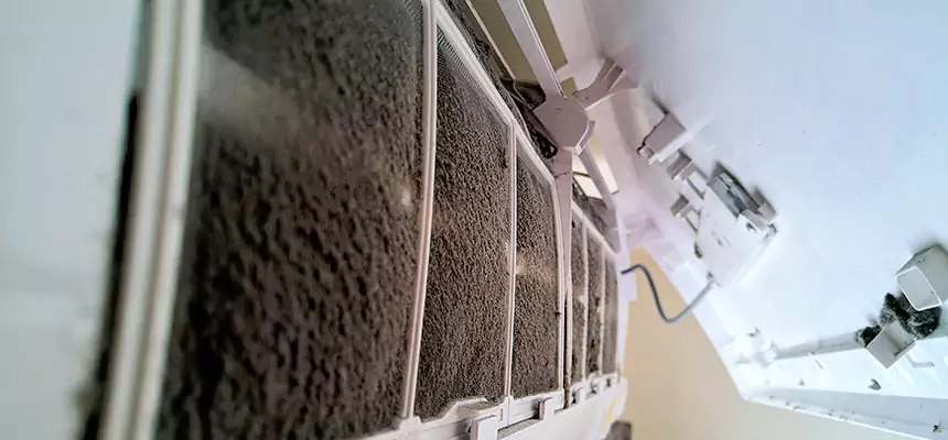 Preventive Air Duct Bacteria Removal in Fruit Cove