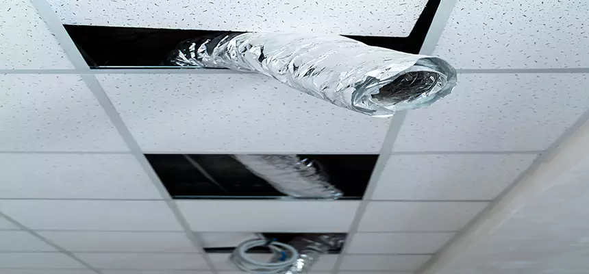 Affordable HVAC Sanitizing After Pest Removal in Fruit Cove