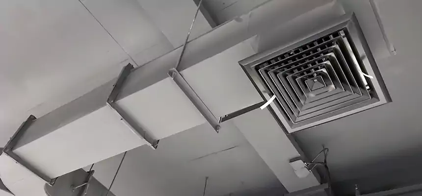 Restorative Allergy Relief Vent Cleaning – Coil, Blower & Housing Detail in Fruit Cove