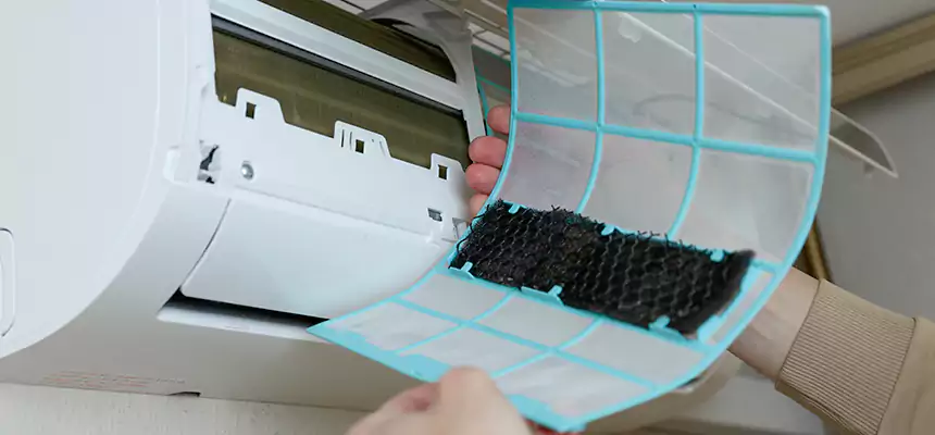 Gentle Ductwork Odor-Control Pet Dander Duct Cleaning in Fruit Cove, FL