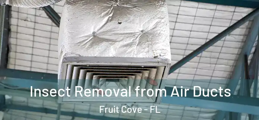 Insect Removal from Air Ducts Fruit Cove - FL
