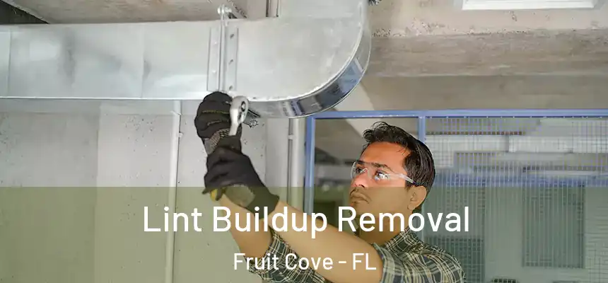  Lint Buildup Removal Fruit Cove - FL