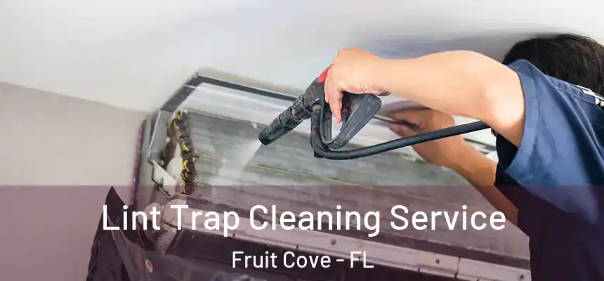  Lint Trap Cleaning Service Fruit Cove - FL