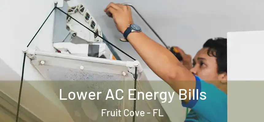 Lower AC Energy Bills Fruit Cove - FL