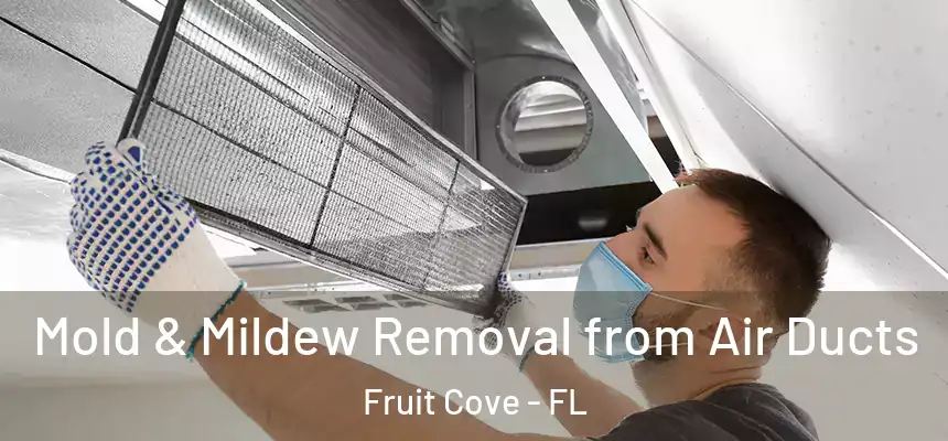  Mold & Mildew Removal from Air Ducts Fruit Cove - FL