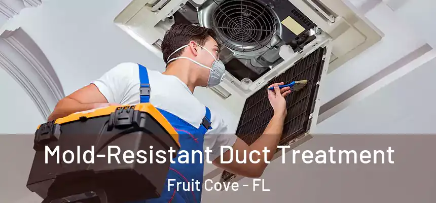  Mold-Resistant Duct Treatment Fruit Cove - FL