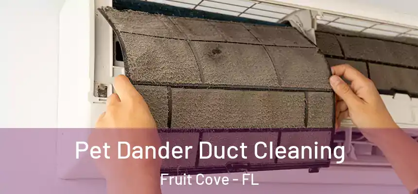  Pet Dander Duct Cleaning Fruit Cove - FL