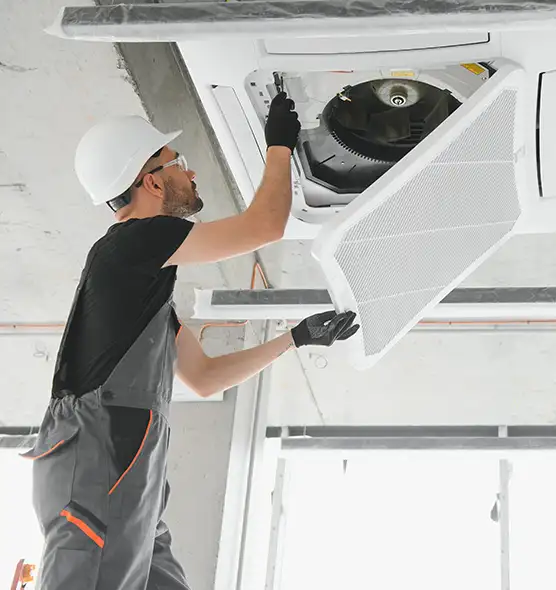 About Air Duct Rodent Removal in Fruit Cove, FL