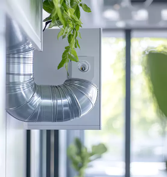 Professional Eco-Safe Dryer Vent Cleaning in Fruit Cove, FL