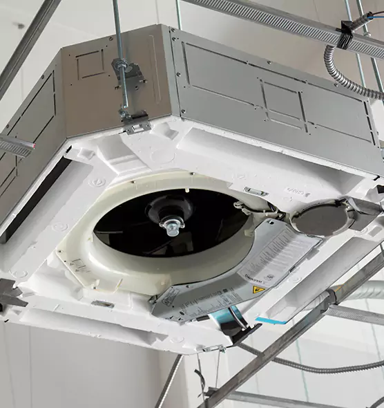 Professional Roof Vent Lint Removal Fruit Cove, FL