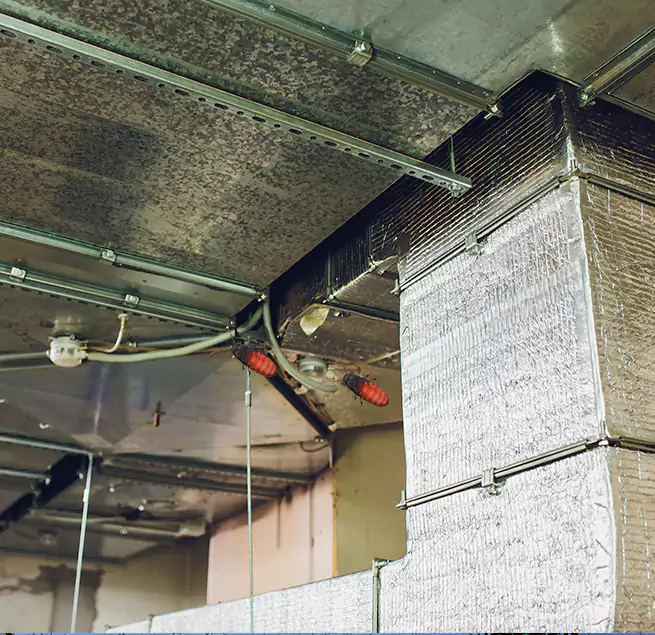 Why Homeowners & Businesses Trust Us in Fruit Cove, FL?