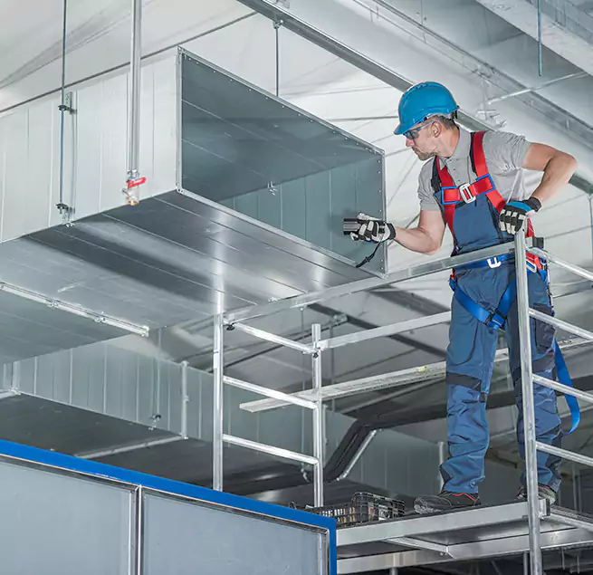 Why Homeowners & Businesses Trust Us in Fruit Cove, FL?