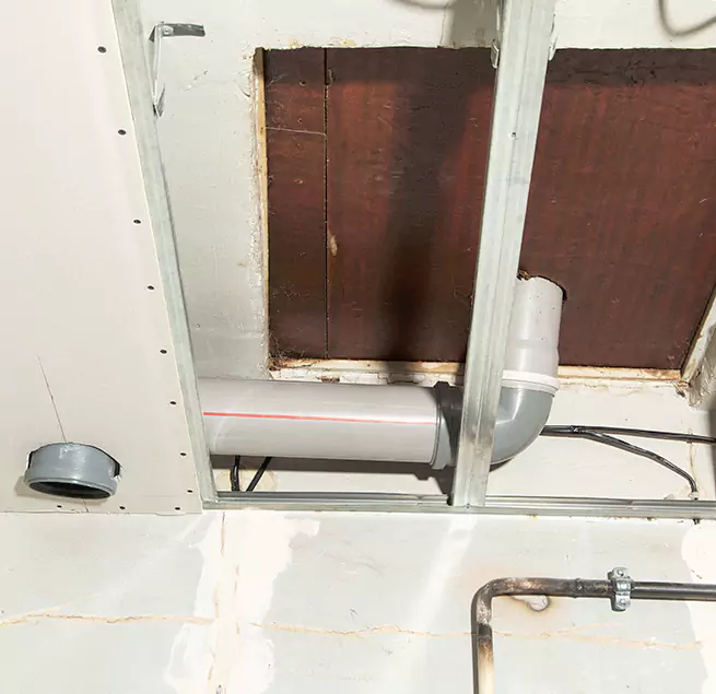 Why Homeowners & Businesses Trust Us in Fruit Cove, FL?