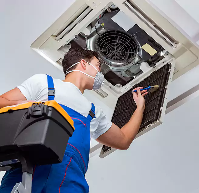 Why Homeowners & Businesses Trust Us in Fruit Cove, FL