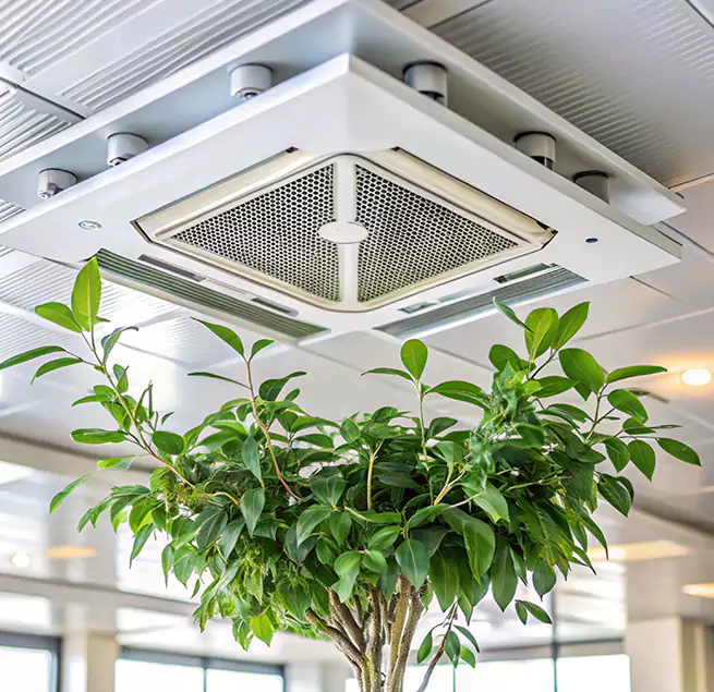 Why Homeowners & Businesses Trust Us in Fruit Cove, FL?