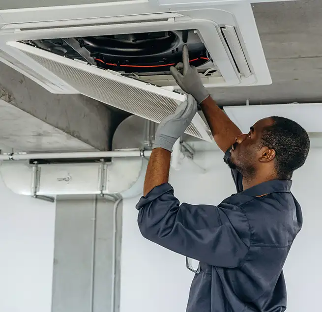 Why Homeowners & Businesses Trust Us in Fruit Cove, FL?