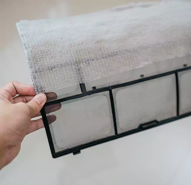 Why Homeowners & Businesses Trust Us in Fruit Cove, FL?