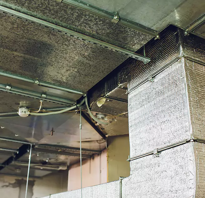 Why Homeowners & Businesses Trust Us in Fruit Cove, FL?