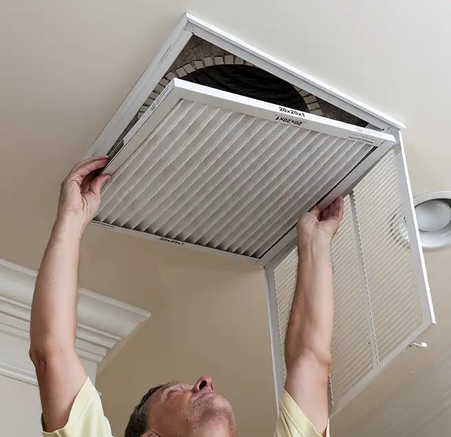 Why Homeowners & Businesses Trust Us in Fruit Cove, FL?