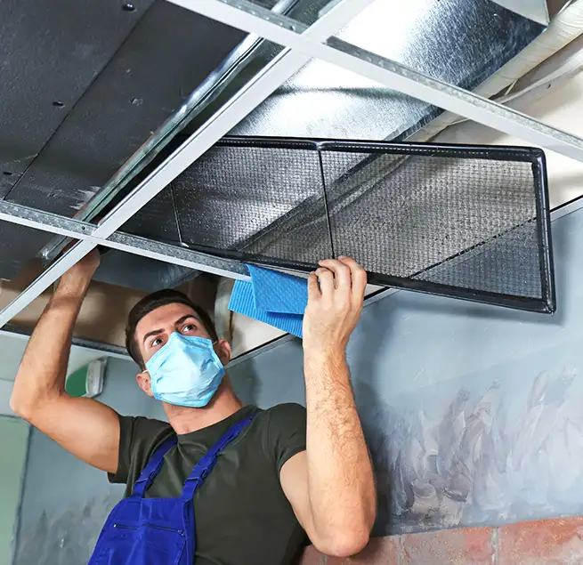 Why Homeowners & Businesses Trust Us in Fruit Cove, FL?