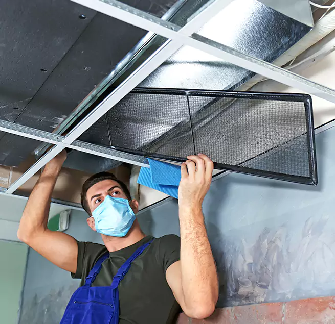 Why Homeowners & Businesses Trust Us in Fruit Cove, FL?