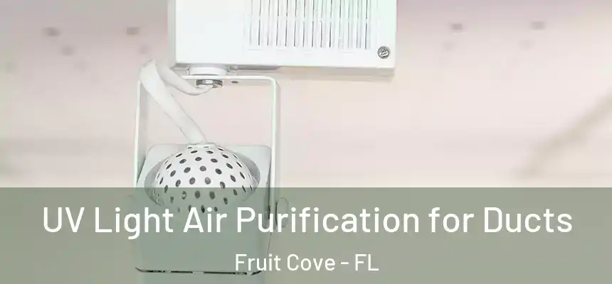  UV Light Air Purification for Ducts Fruit Cove - FL