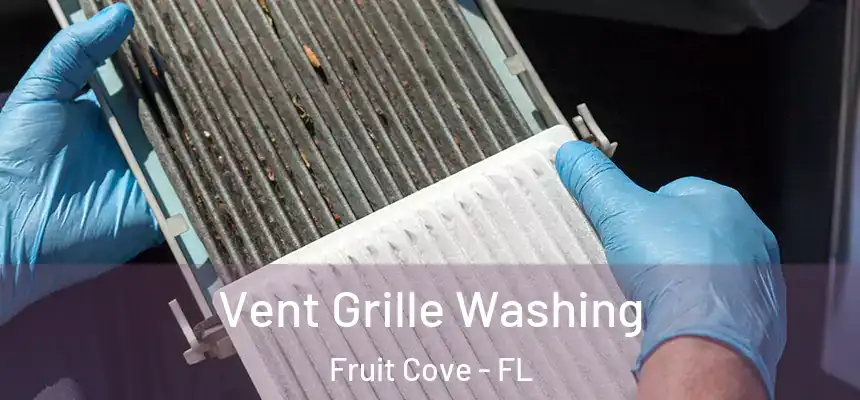  Vent Grille Washing Fruit Cove - FL