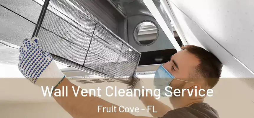 Wall Vent Cleaning Service Fruit Cove - FL